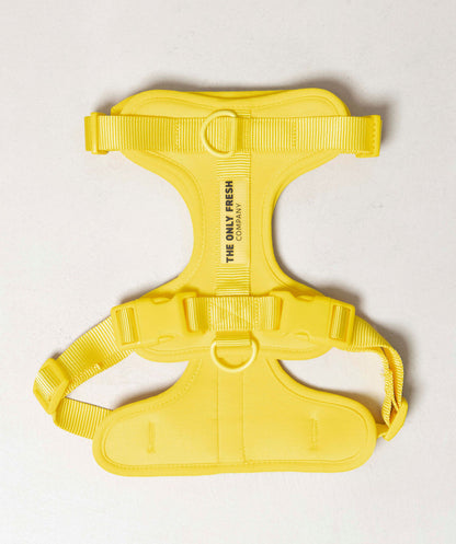 Smart Harness
