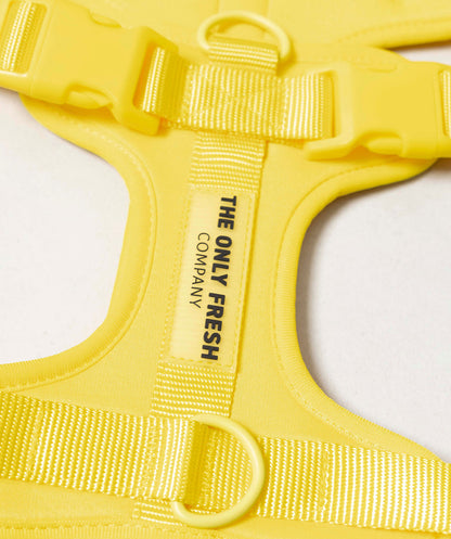 Smart Harness