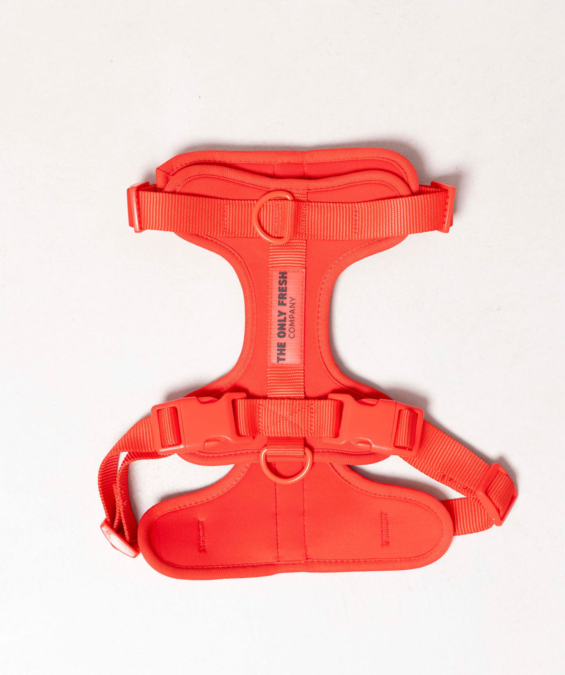 Smart Harness