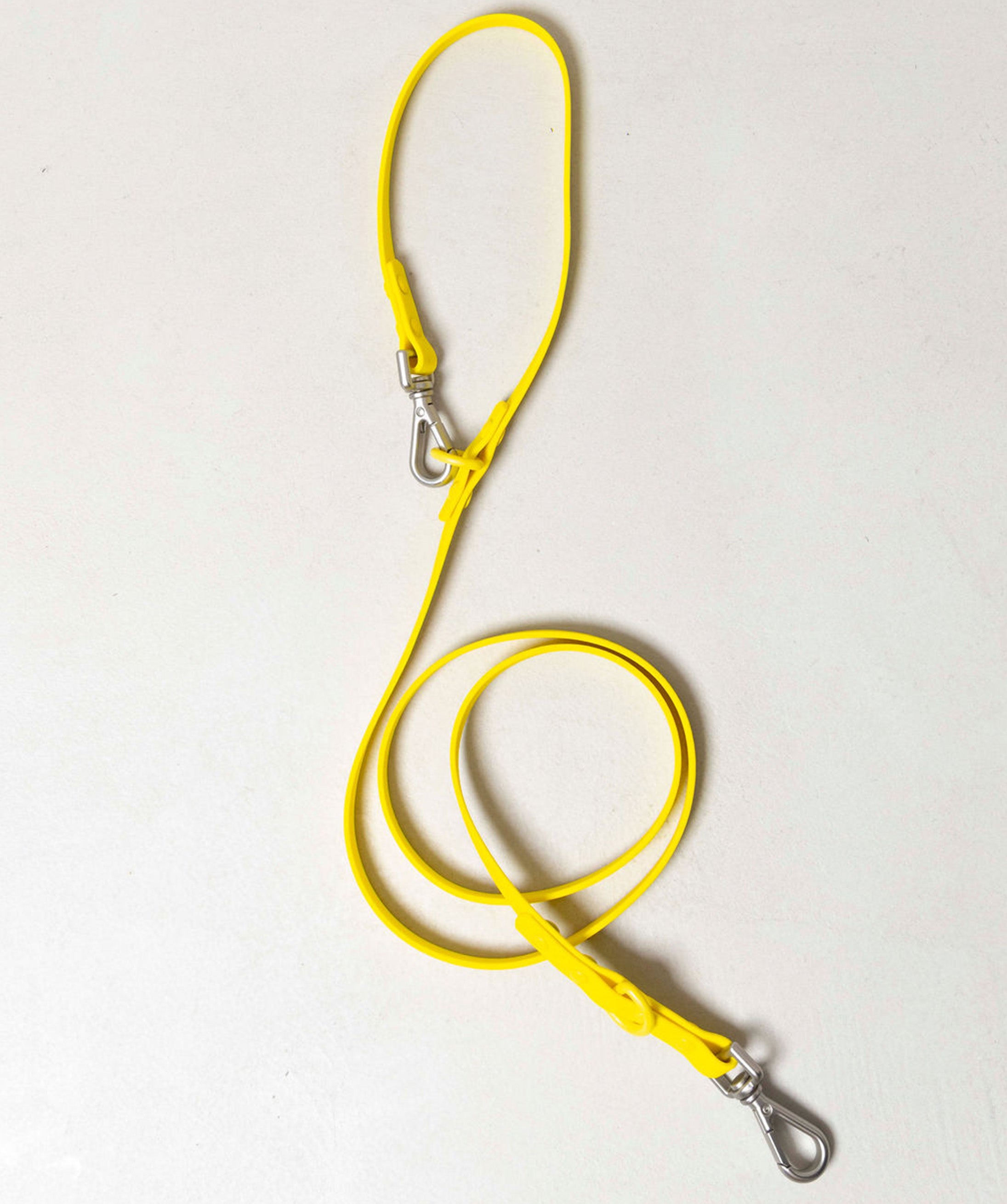 Smart Dog Leash