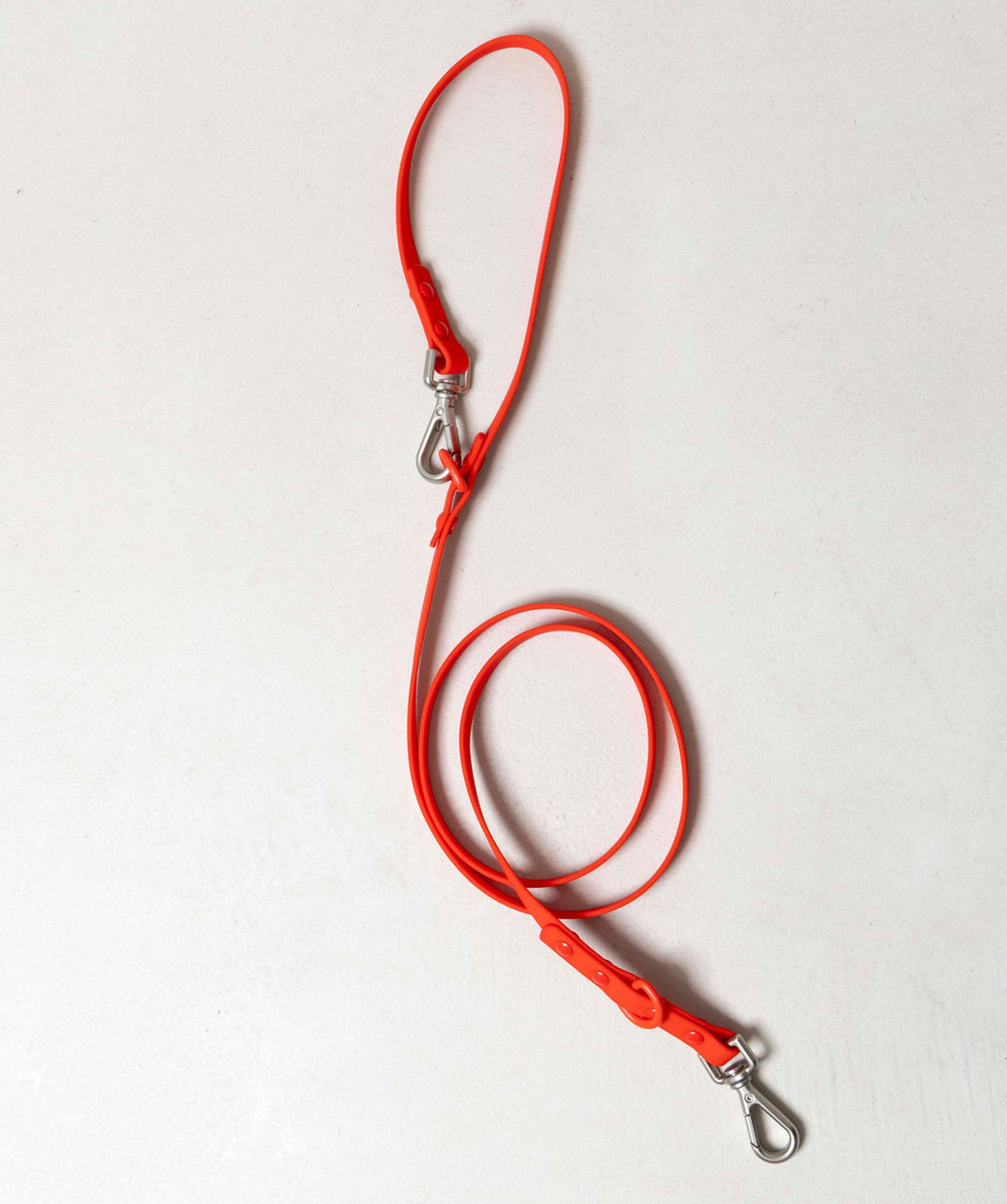 Smart Dog Leash