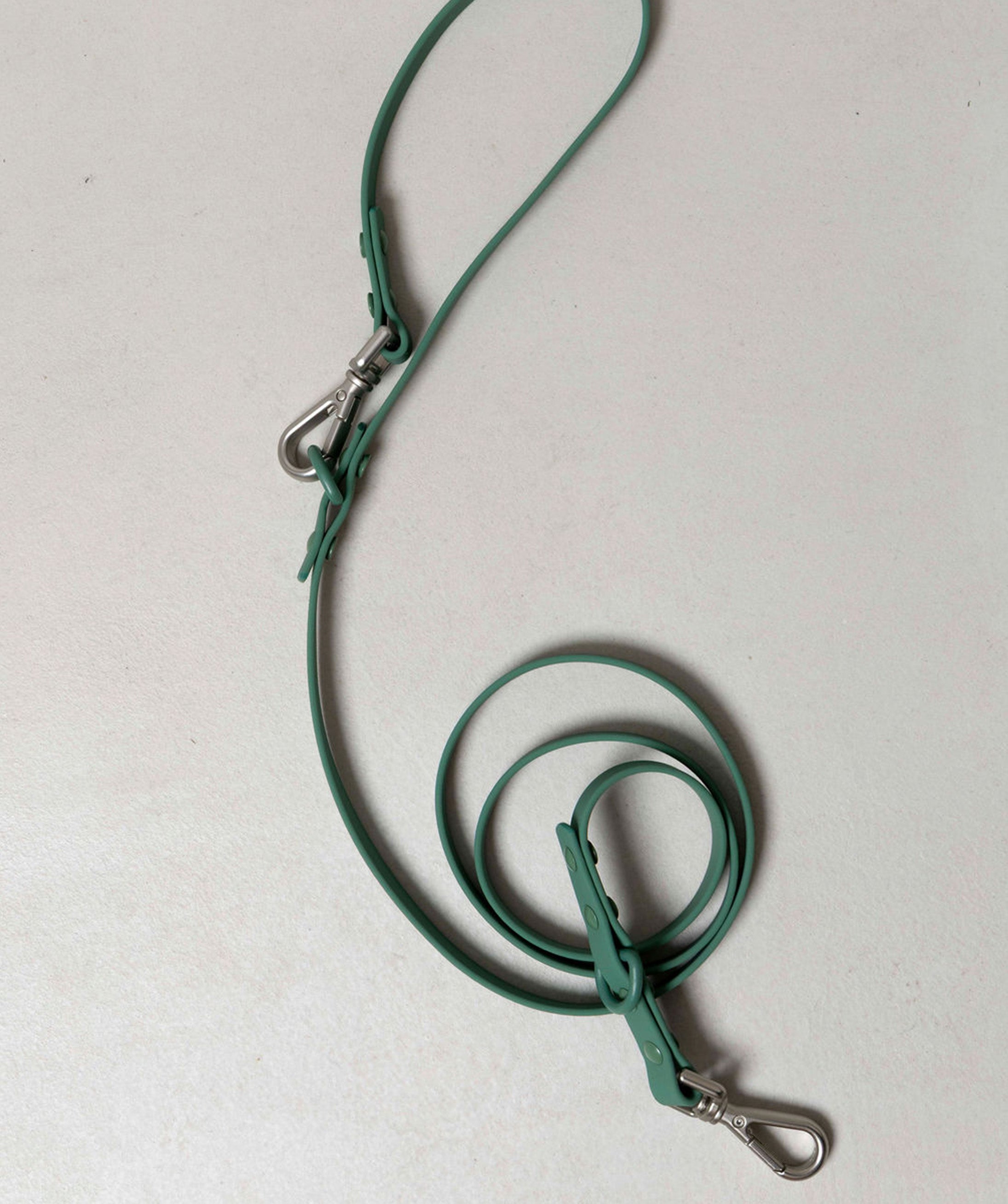 Smart Dog Leash