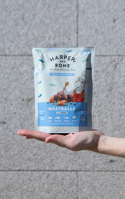 Meatballs for dogs - Ocean wonders