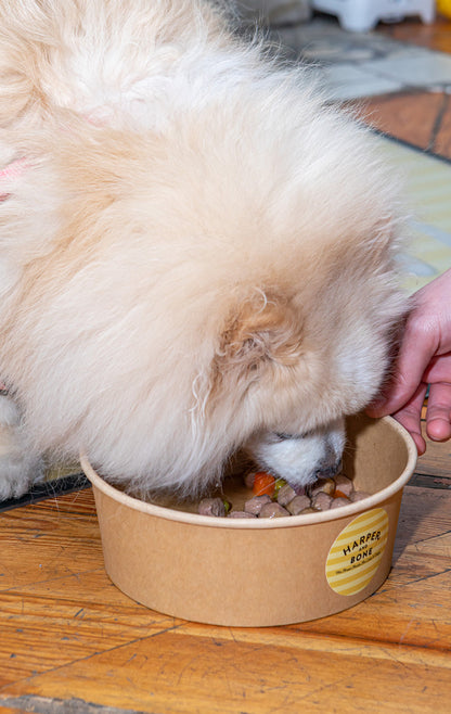 Meatballs for dogs - Wild Mountain