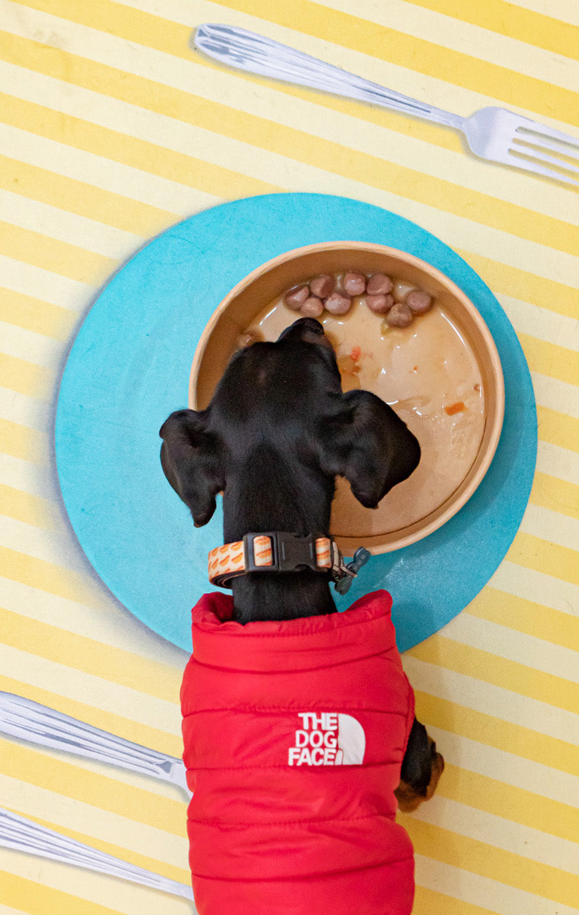 Meatballs for dogs - Wild Mountain