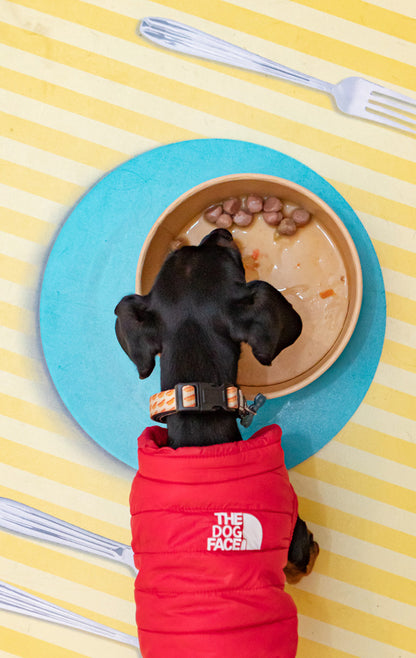 Meatballs for dogs - Wild Mountain