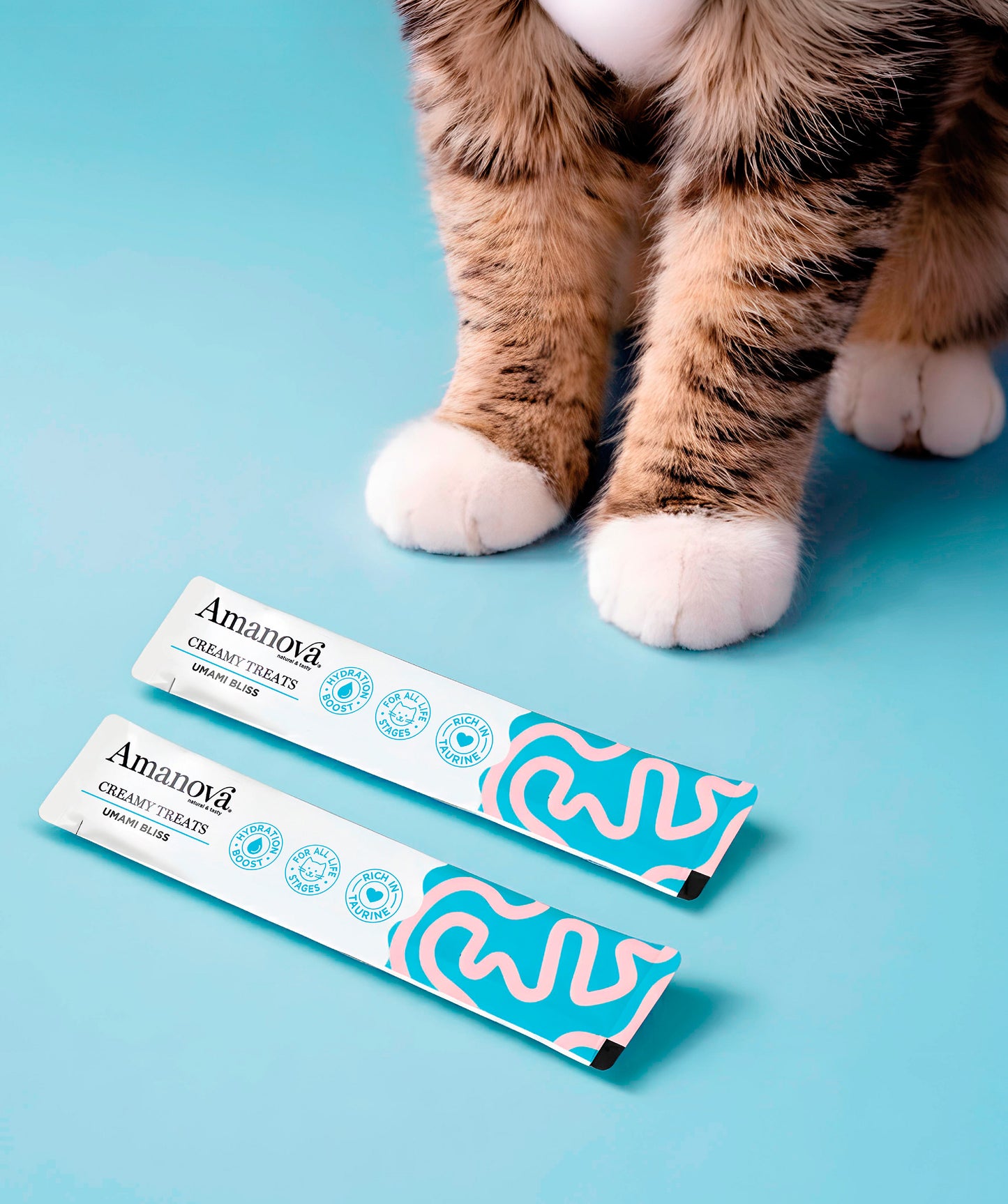 Creamy Treat - Umami Bliss