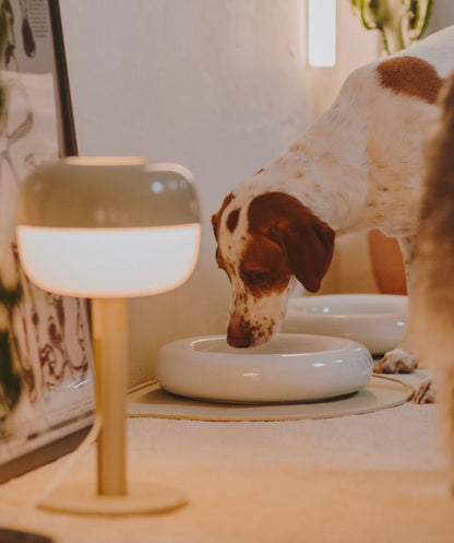 Ceramic Bowl