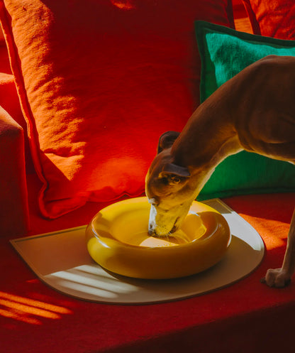 Ceramic Bowl