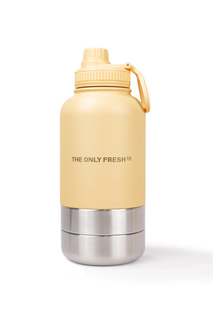 Portable water bottle