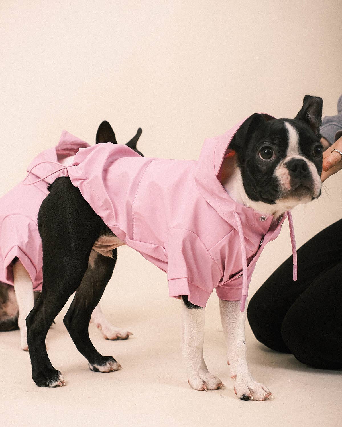 Pink Dog Raincoat - chubasquero