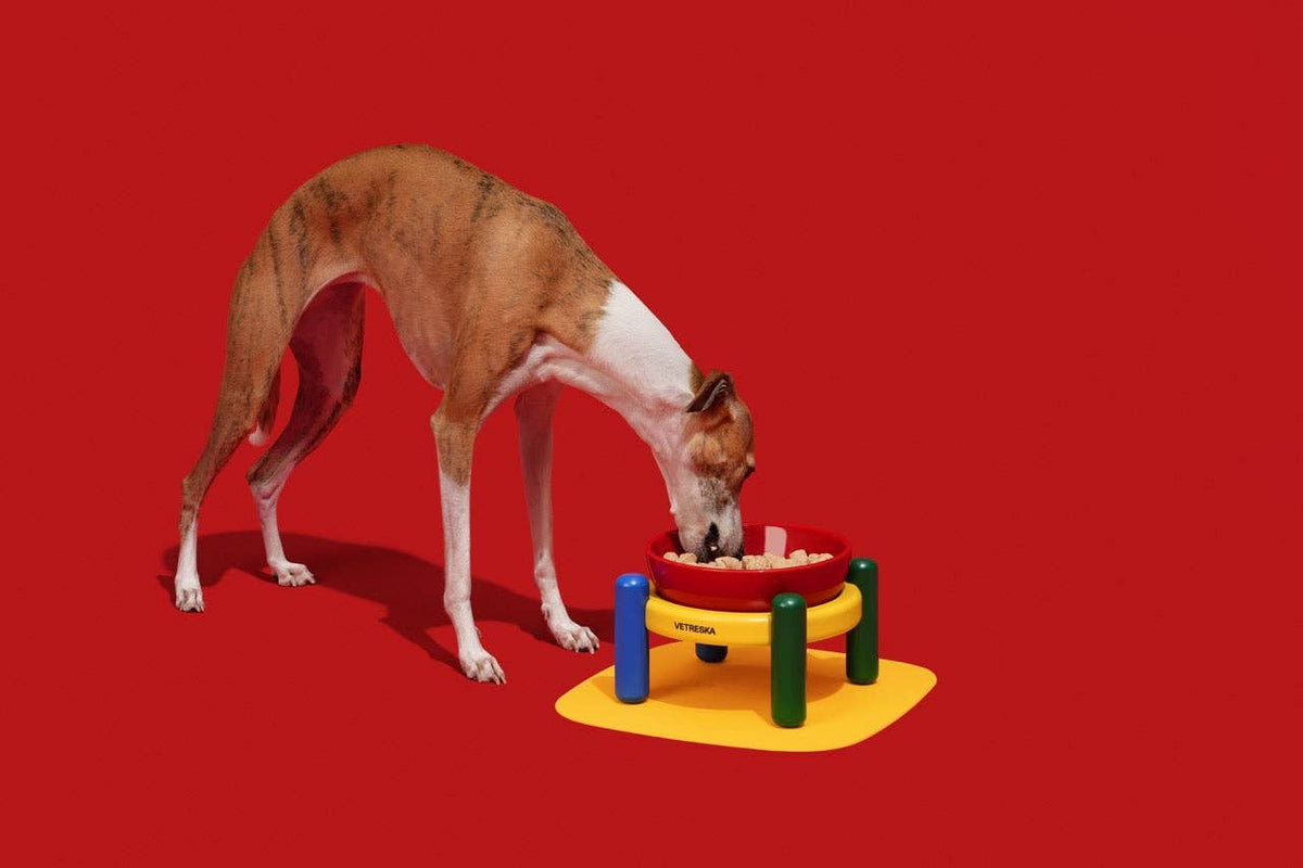 Chroma Ceramic Pet Bowl & Mat Set - miska