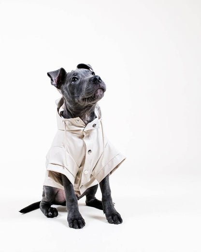 Stone Dog Raincoat - chubasquero