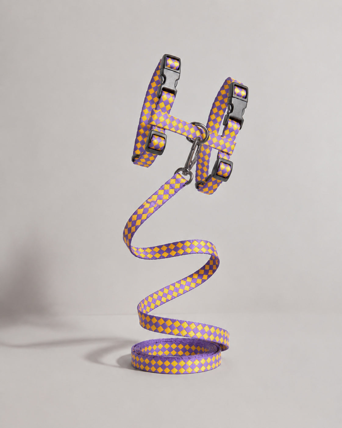 Leash & Harness Kit for cats