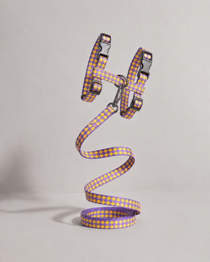 Leash & Harness Kit for cats