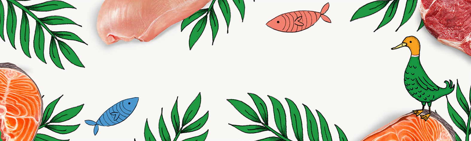 image-banner