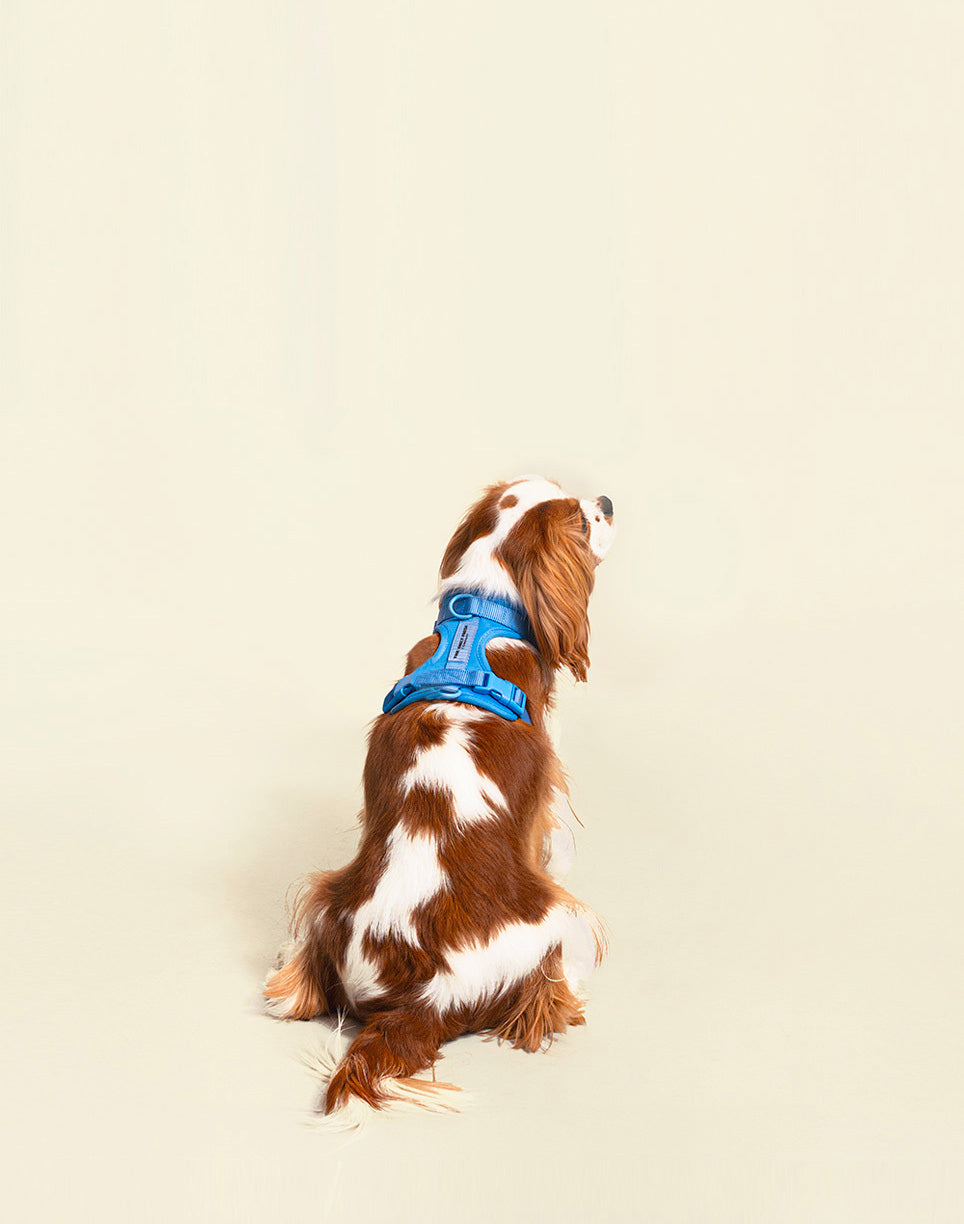 image-banner-mb