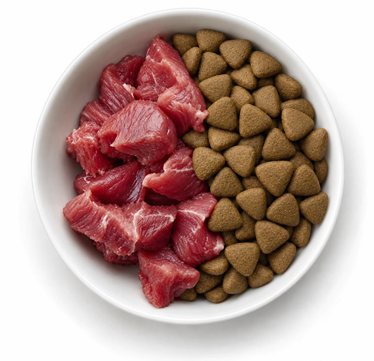 Bol con carne fresca cruda y croquetas Trovet Plus, mitad y mitad