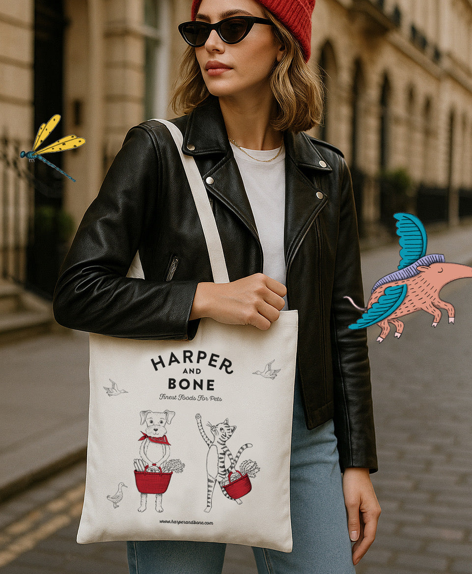 Presente natalino edição limitada