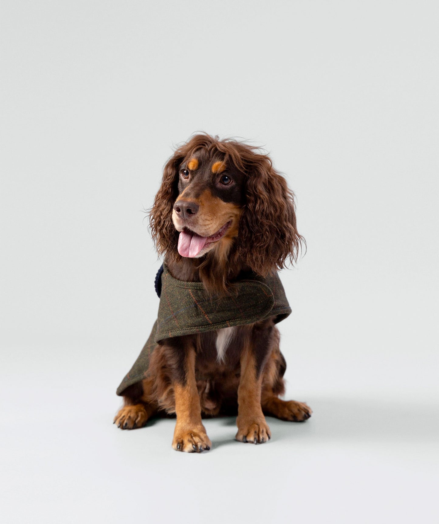 Hackett Tweed Fleece Dog Jacket - Dark Green Checked