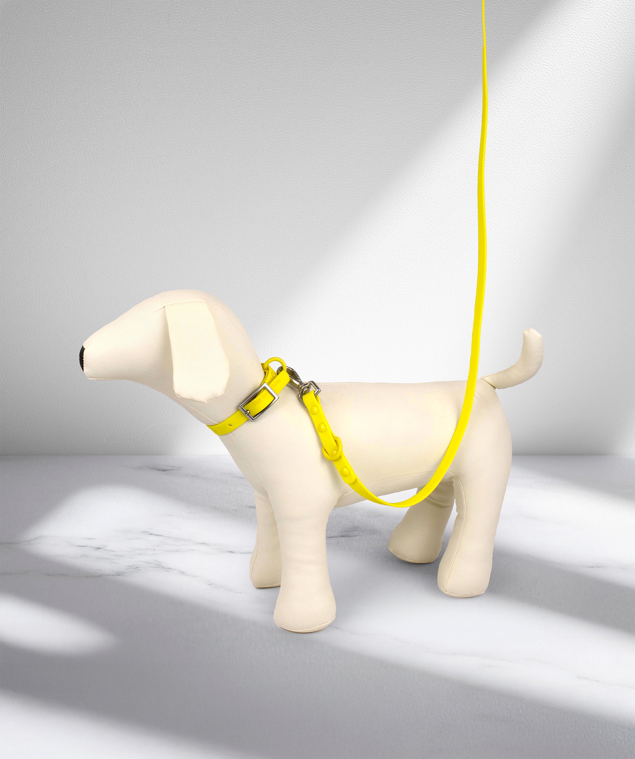 Smart Dog Leash