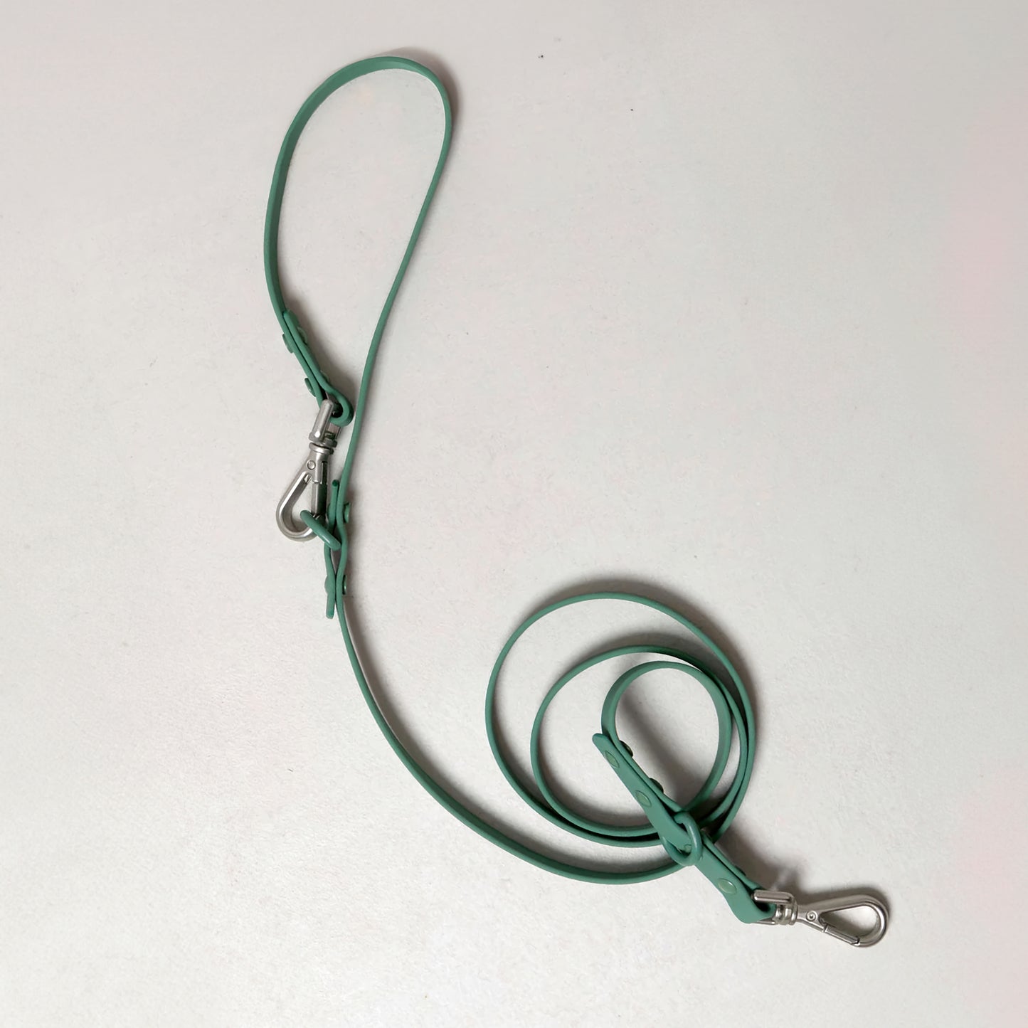 Smart Dog Leash