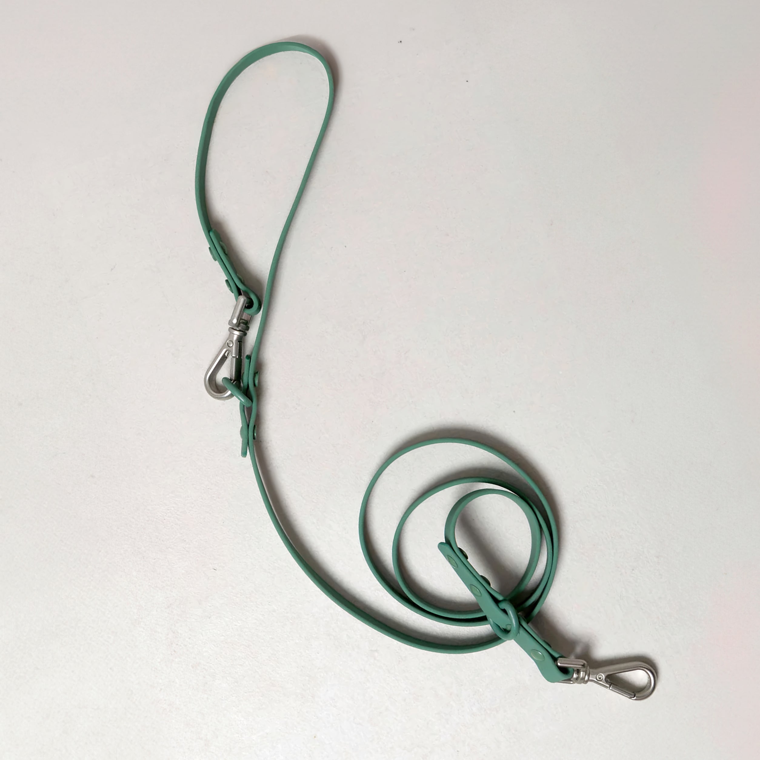 Smart Dog Leash