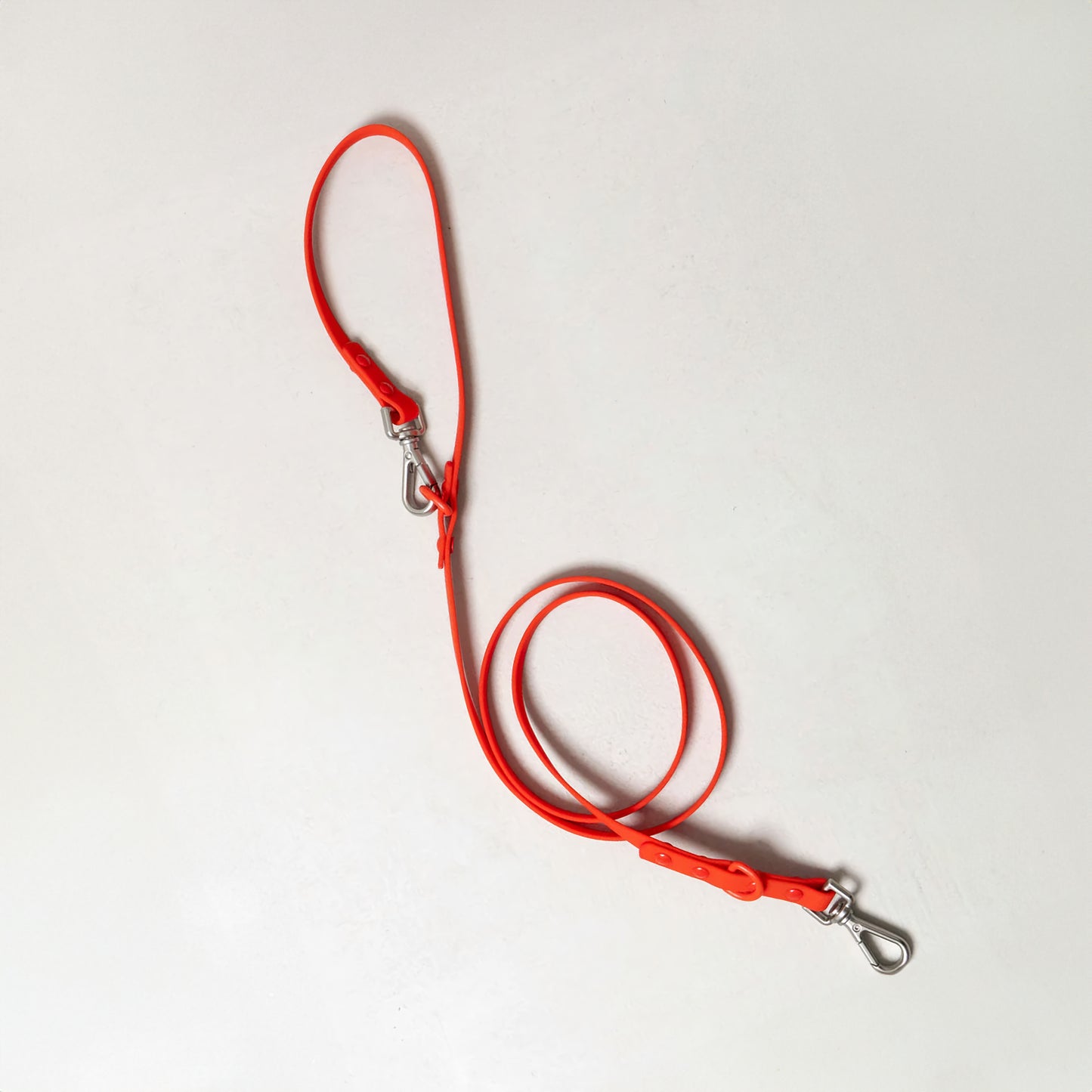 Smart Dog Leash