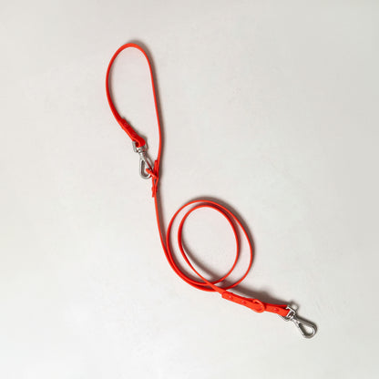 Smart Dog Leash