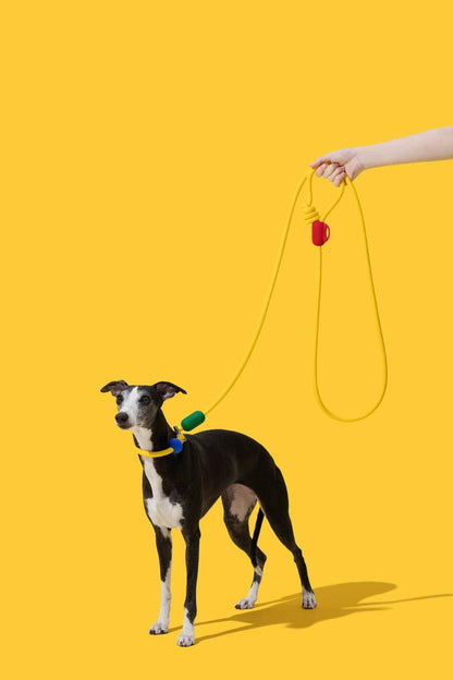 Connect Hands-Free Rope Leash Chroma - trela