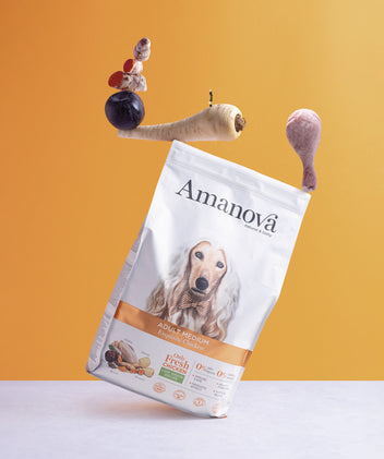 Adult medium – Exquisite chicken