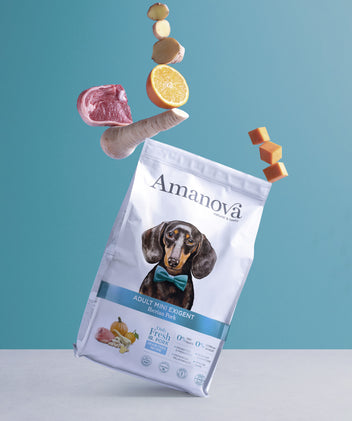 Adult mini exigent – Iberian pork