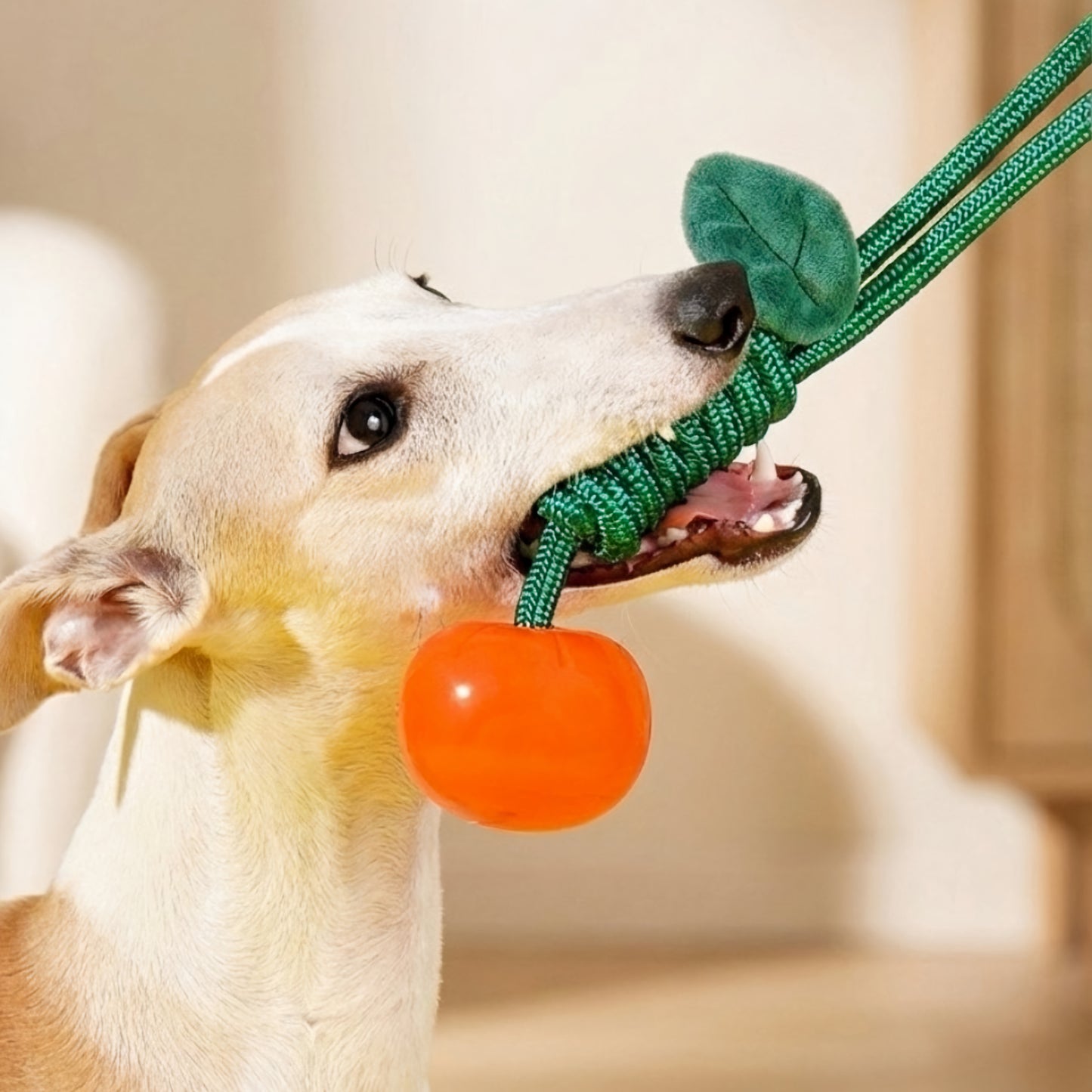 Mandarine chew