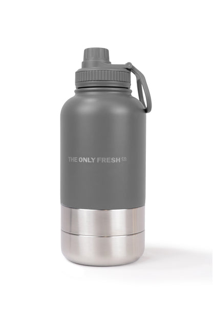 Portable water bottle