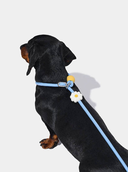 Connect Lite Rope Leash - trela