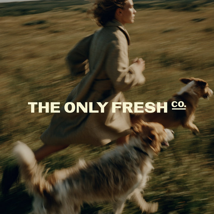 Freedom begins with feeling good 🧡At The Only Fresh Company, we create fresh, thoughtful recipes to support dogs in e...