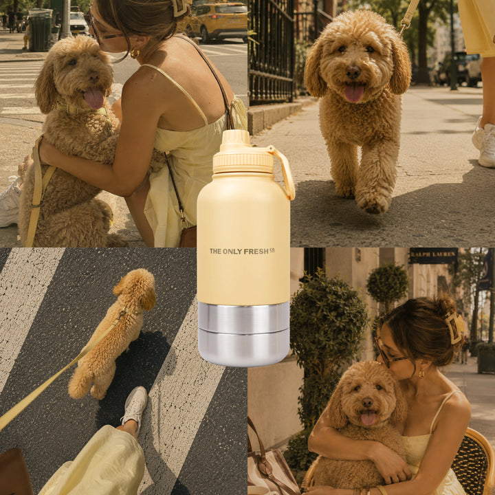 City strolls, but make them stylish 💁🏼‍♀️Every summer adventure deserves thoughtful detailsfor you and your four-legg...