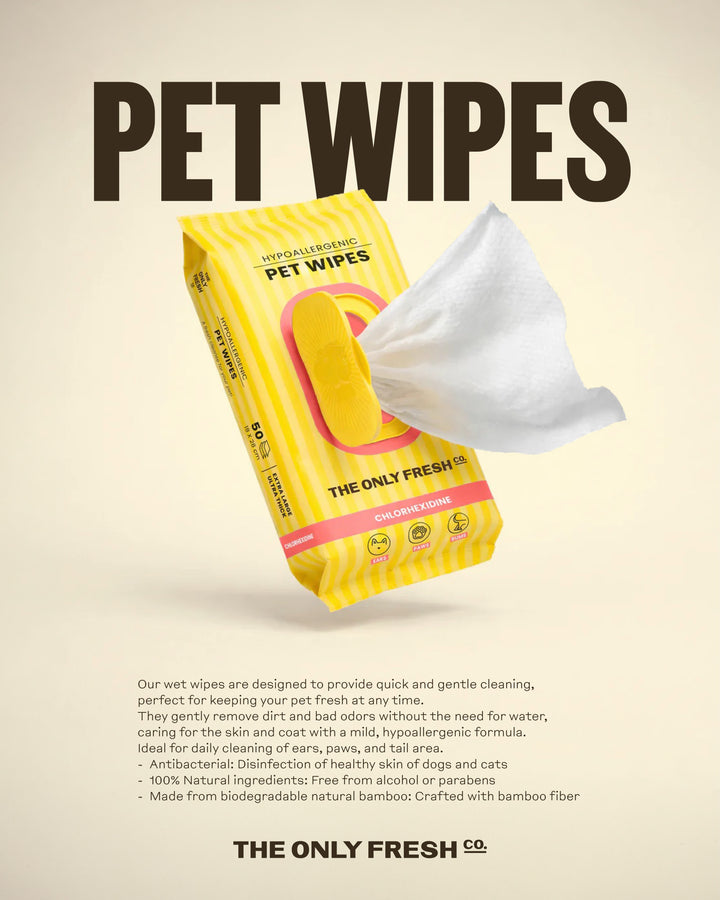 No matter the season: keep your dog fresh any time 🧡