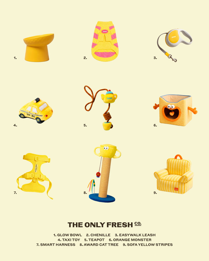 Yellow is having a main character moment at The Only Fresh Company 💛