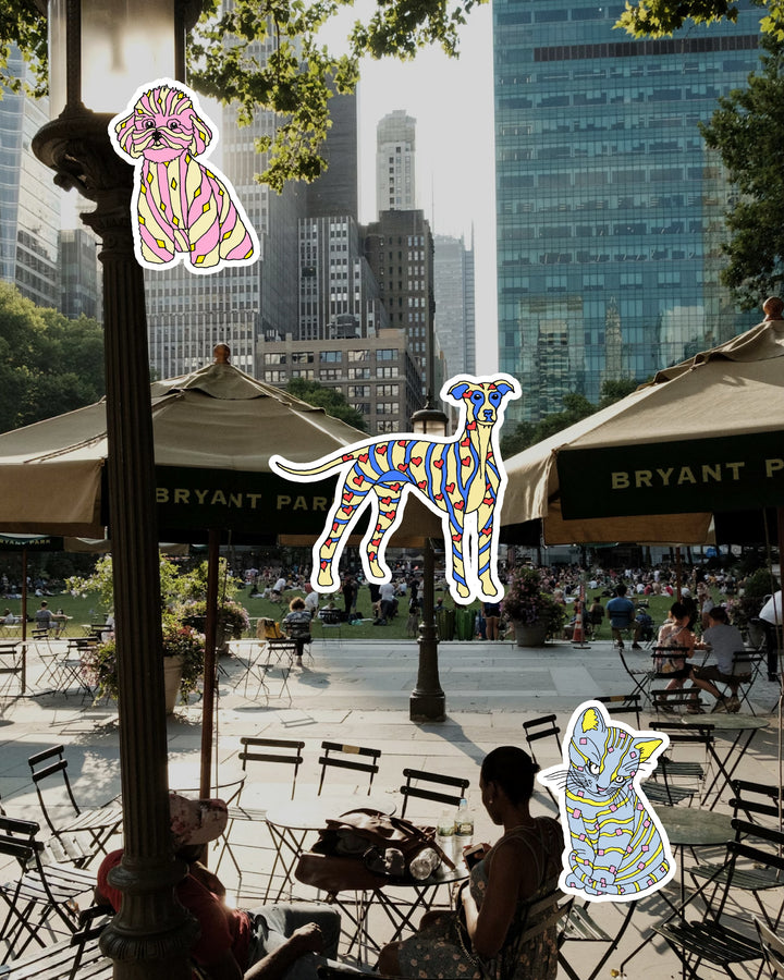 Every corner of the city is an adventure when you walk with your dog 🐕 At Only Fresh Company, we know every stroll, e...
