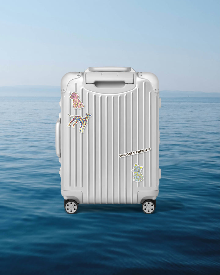 Pack less and experience more 🧡 Just don’t forget the essentials for you and your four-legged travel partner 🌞