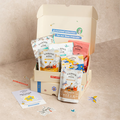 Starter Kit Harper & Bone