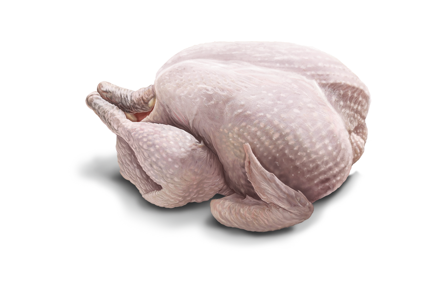Pavo fresco, fuente de proteína de Trovet Plus