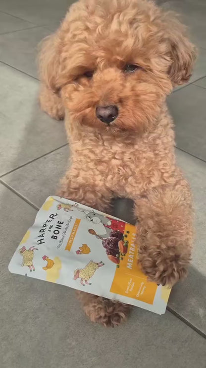 Meatballs for Dogs – Fresh Market