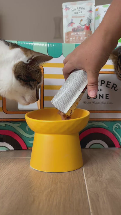 Almôndegas para gatos - Ocean wonders