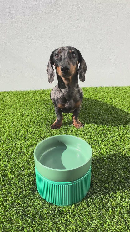 Meatballs for Dogs - Flavours of the Farm