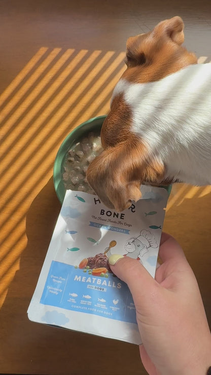 Albóndigas para perros - Ocean wonders
