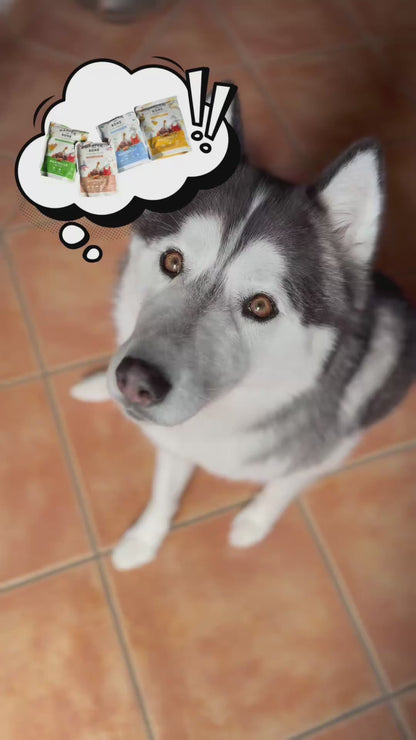 Meatballs for Dogs - Wild Mountain