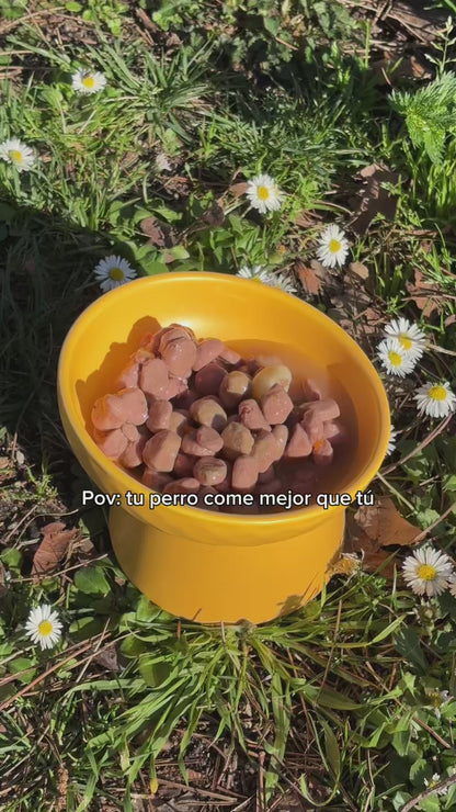 Albóndigas para perros - Flavours of the farm