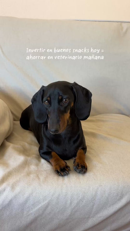 Meatballs for Dogs - Ocean Wonders